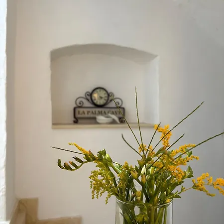 La Palma Cave Historic Stone In Old Town Appartement