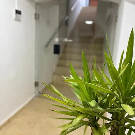 La Palma Cave 克卢日-纳波卡