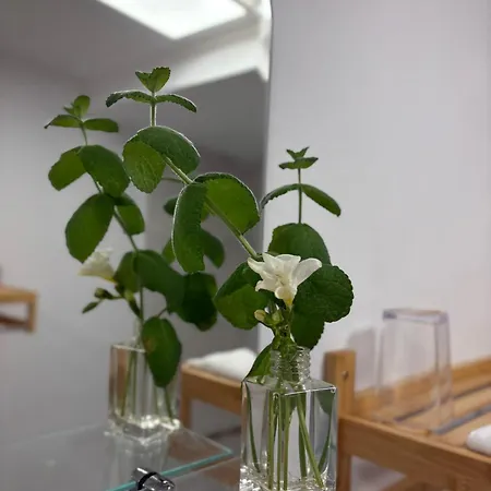 La Palma Cave Appartement *