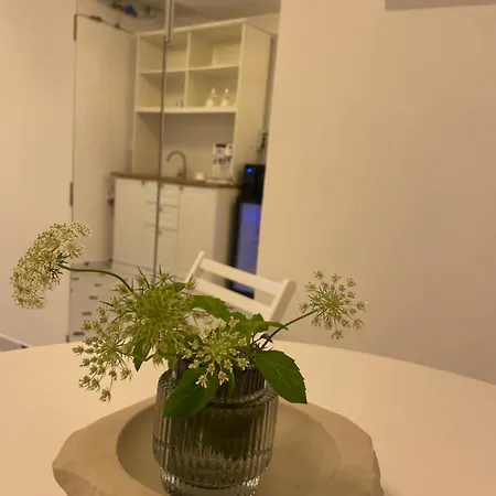 La Palma Cave 克卢日-纳波卡