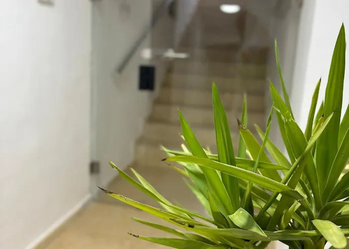 La Palma Cave Historic Stone In Old Town Cluj-Napoca