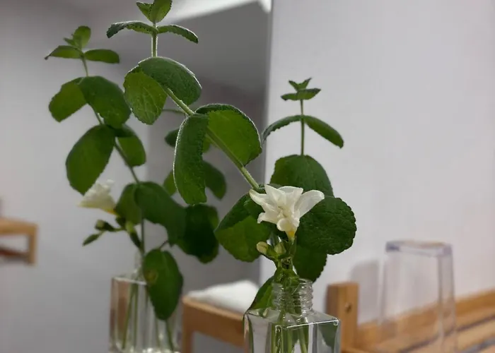 La Palma Cave Historic Stone In Old Town Appartement *