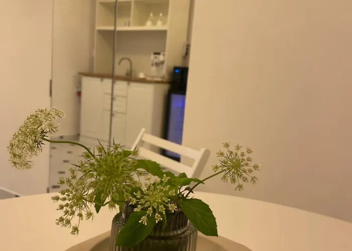 La Palma Cave Historic Stone In Old Town Cluj-Napoca